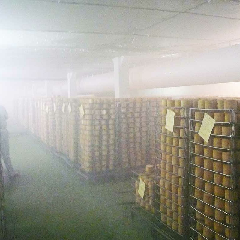 contamination-fromage