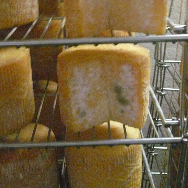 fromage-contamine